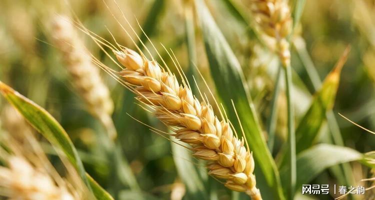 记者:费内巴切仍在和曼城谈阿克转会费,预计700万+150万镑